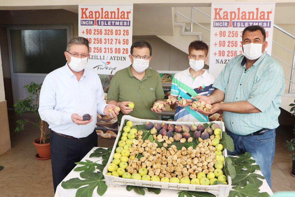 We Participated In The First Dried Fig Buying Ceremony Of The Season