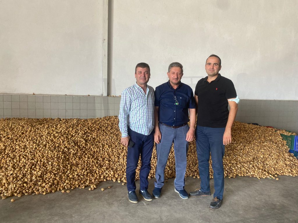 Dried Fig Season Opened in the Homeland of Figs