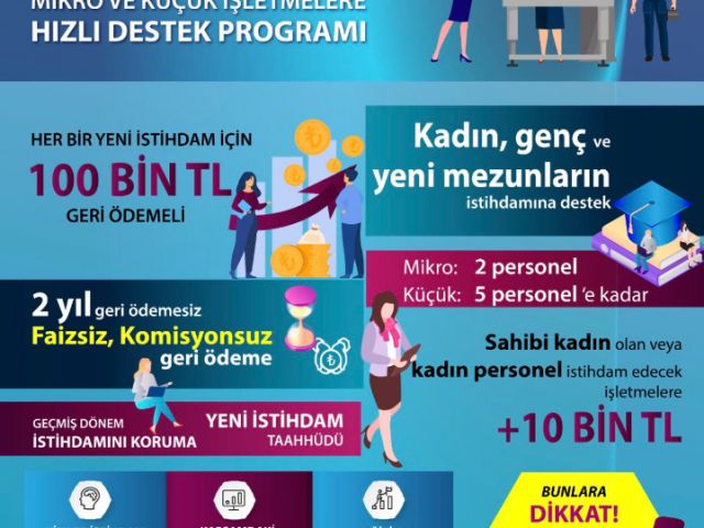 KOSGEB, Mikro ve Küçük İşletmelere Hızlı Destek Programı